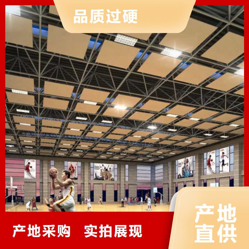 福建省源头厂家来图定制(凯音)乒乓球馆体育馆吸音改造价格--2024最近方案/价格