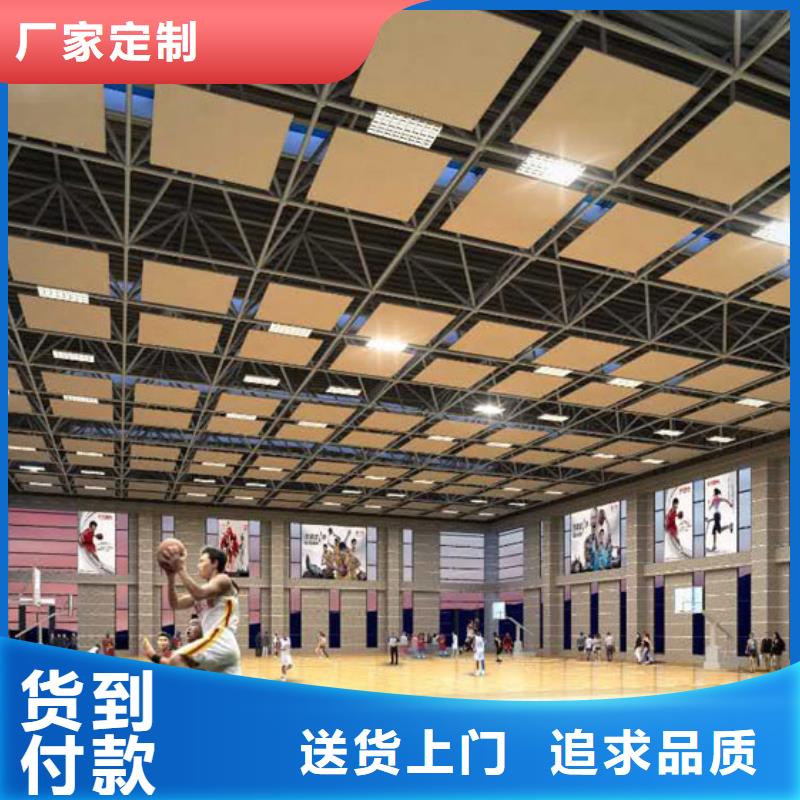 (凯音)广东省珠海市三灶镇羽毛球馆体育馆声学改造方案--2024最近方案/价格
