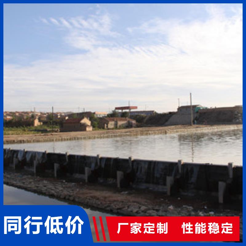 定制液压合页坝的公司