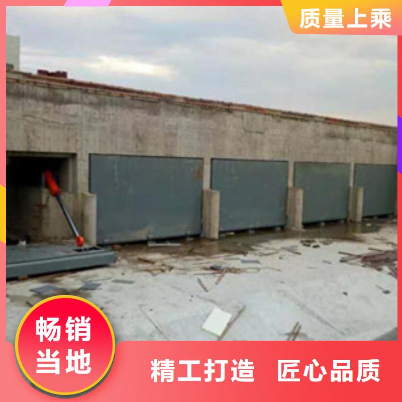 翻板闸门-翻板闸门经验丰富