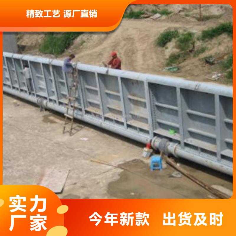 翻板闸门本地正规大厂