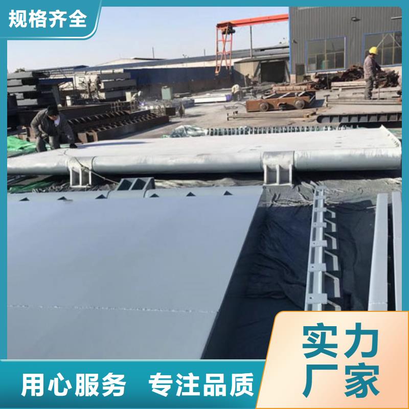 翻板闸门生产经验丰富