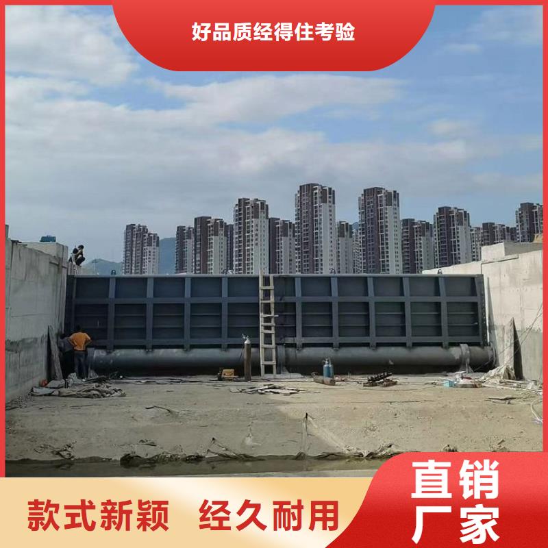 翻板闸门-公司欢迎您！