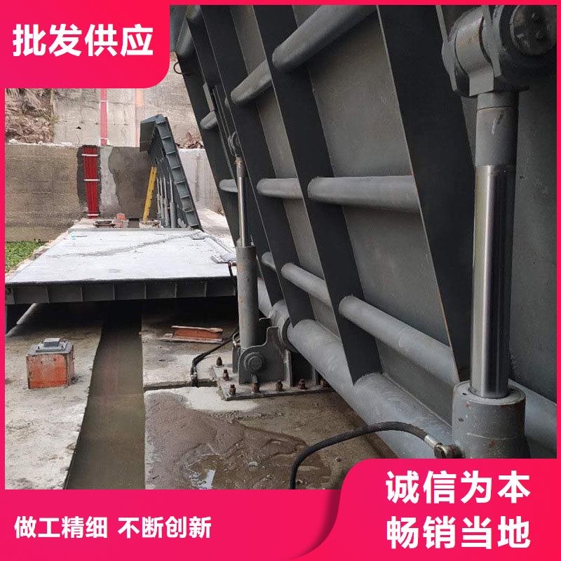 翻板闸门供应商