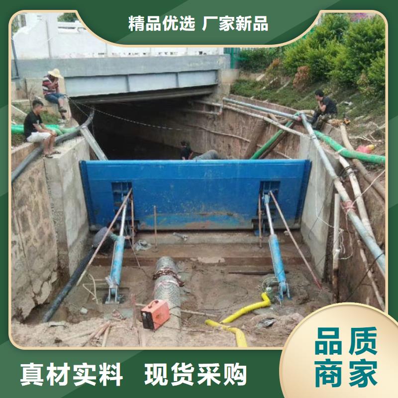 翻板闸门-公司欢迎您！