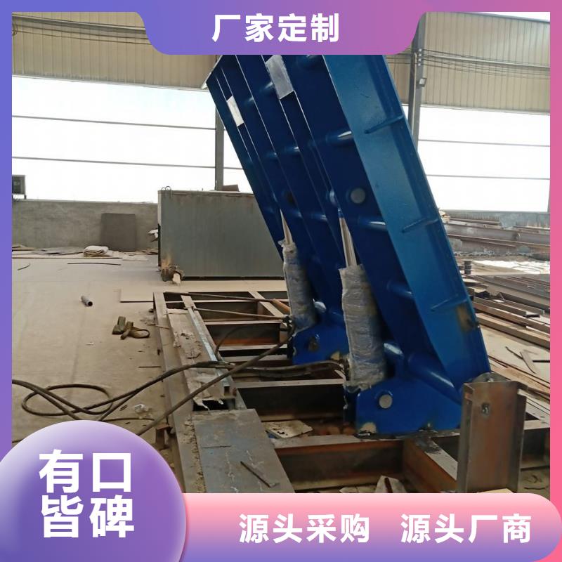 翻板闸门供应商