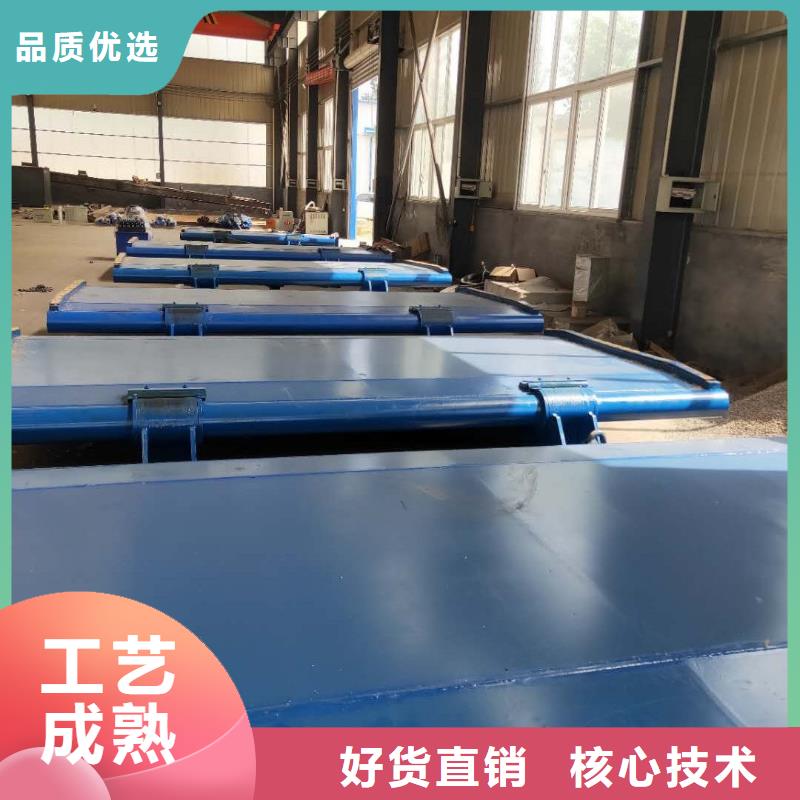 翻板闸门老品牌