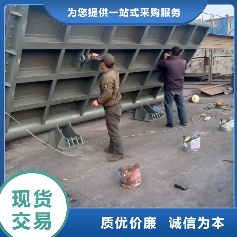 翻板闸门热销货源