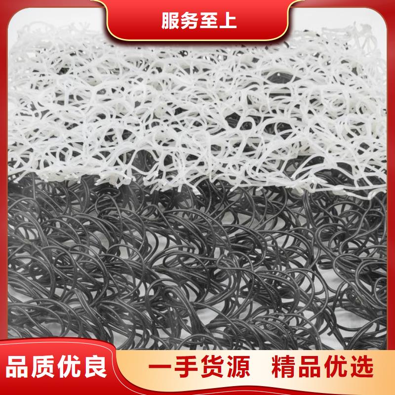 工期快的渗排水网垫30mm厂家