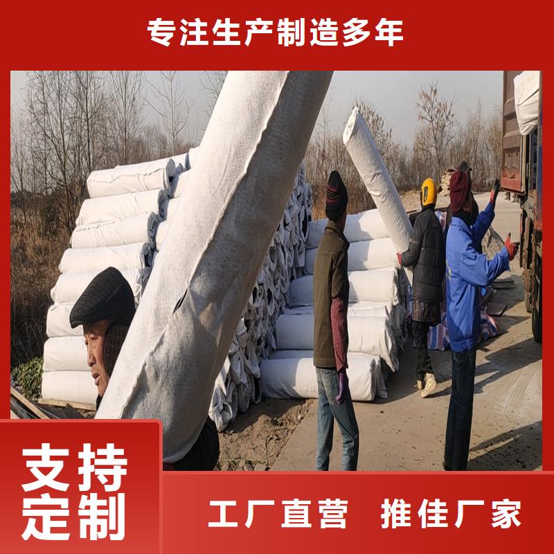 采购塑料排水盲管价格必看-欢迎选购