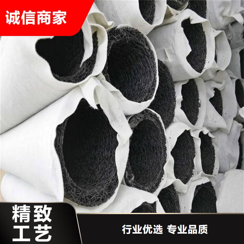 厂家主打产品渗排水网垫厂家欢迎询价