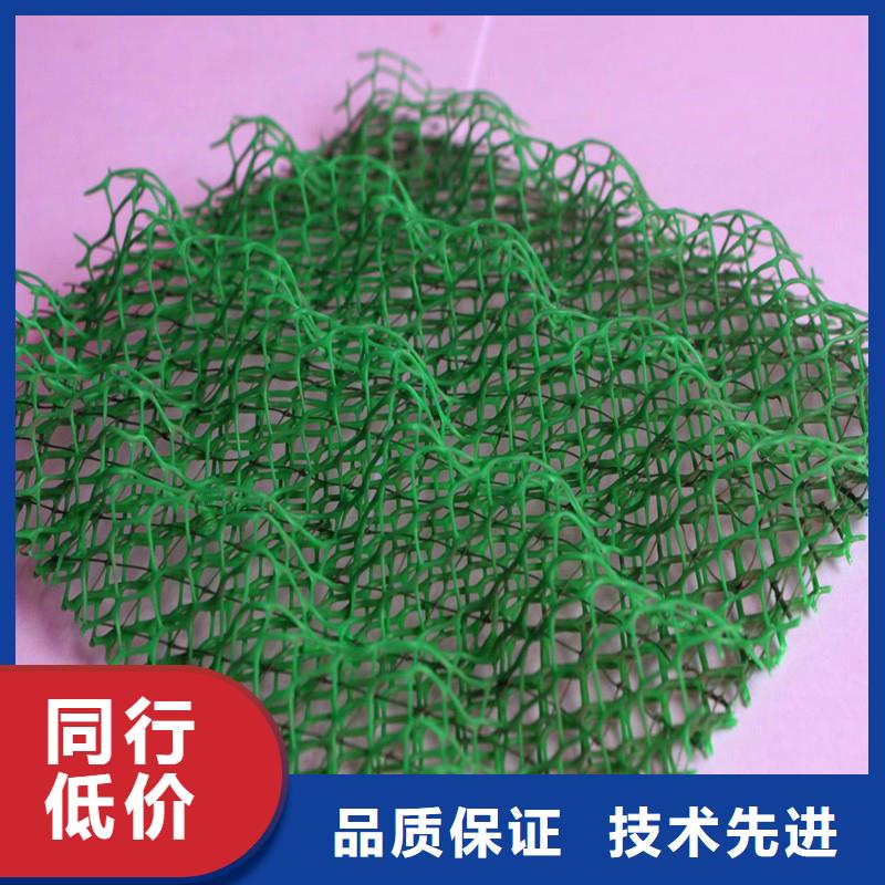 买三维植被网图片-实体厂家可定制