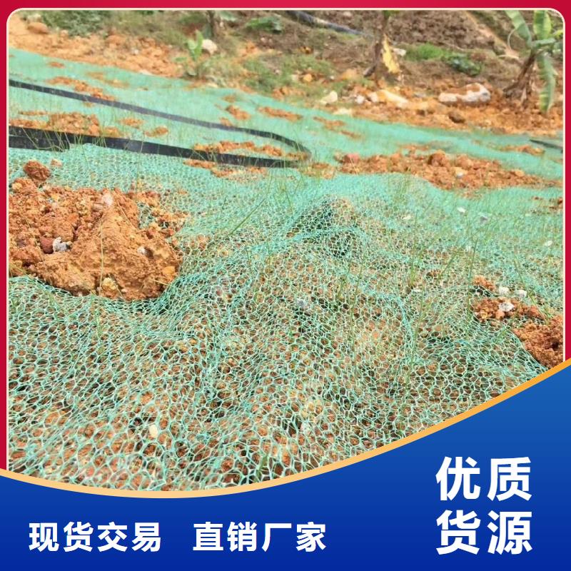 新闻：格栅型加筋麦克垫生产厂家