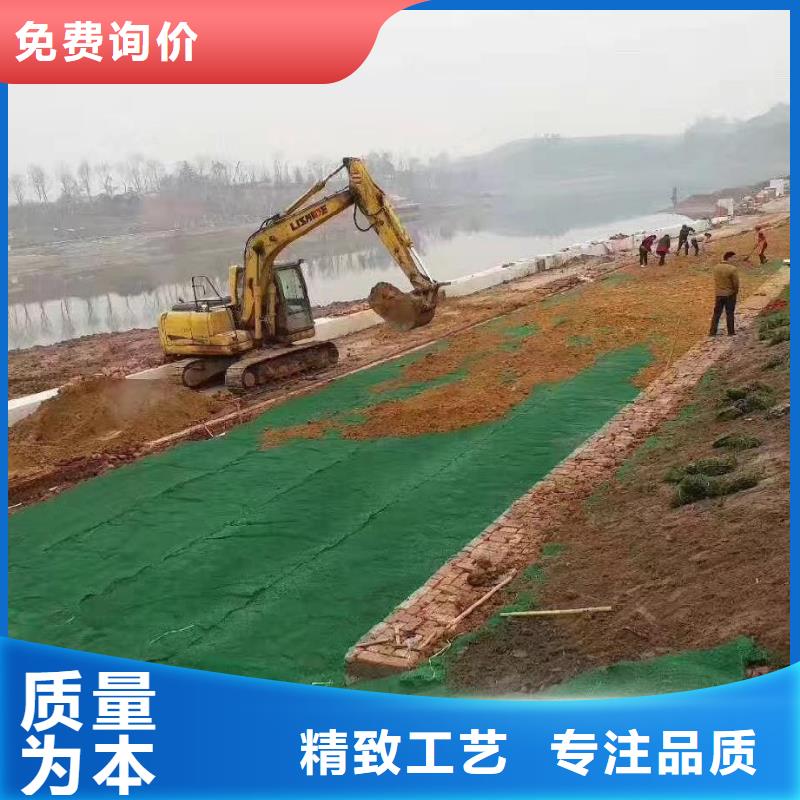 三维植被网品牌-报价_金鸿耀工程材料有限公司