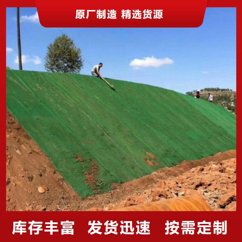 三维网护坡可定制厂家