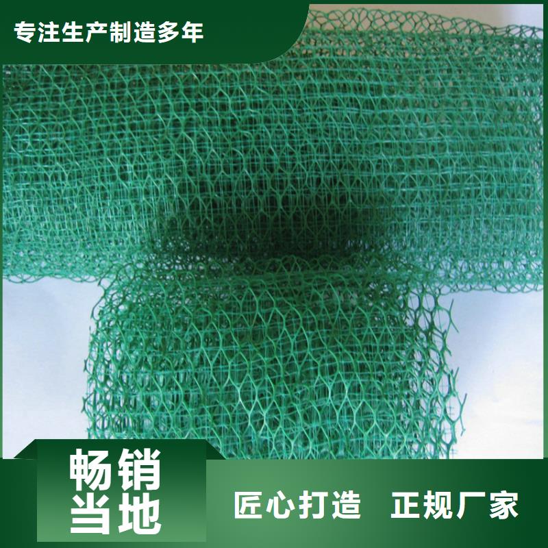 ：加筋麦克垫生态护坡厂家