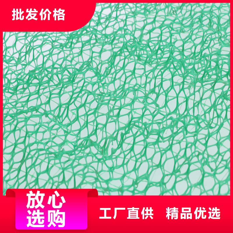 三维植被网定制-三维植被网厂家