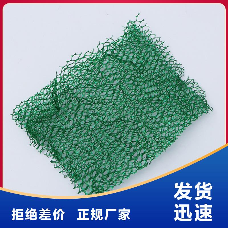 三维土工网植草多少钱一平方厂家供应价格