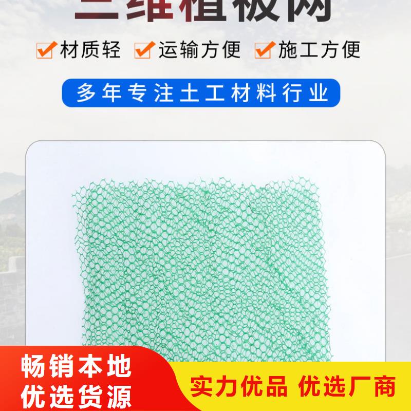 三维植被网品牌-报价_金鸿耀工程材料有限公司