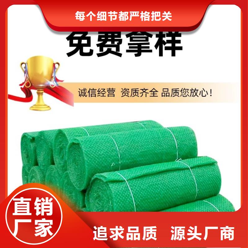 有现货的三维土工网垫销售厂家