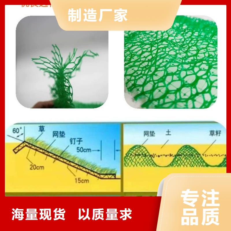 新闻：格栅型加筋麦克垫生产厂家