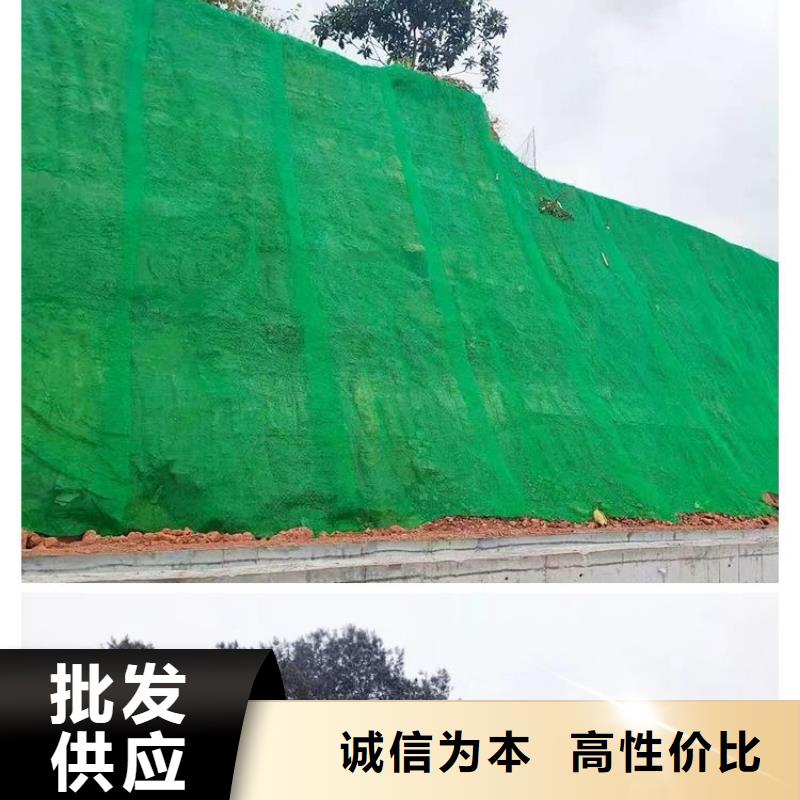 新闻:格栅型加筋麦克垫生产厂家