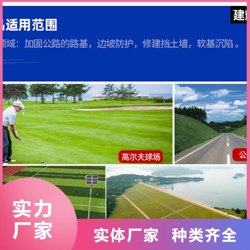 塑料三维土工网垫量大优先发货