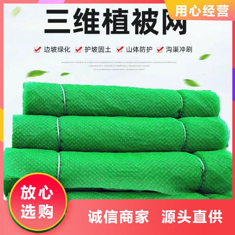 三维土工网植草多少钱一平方可加工设计