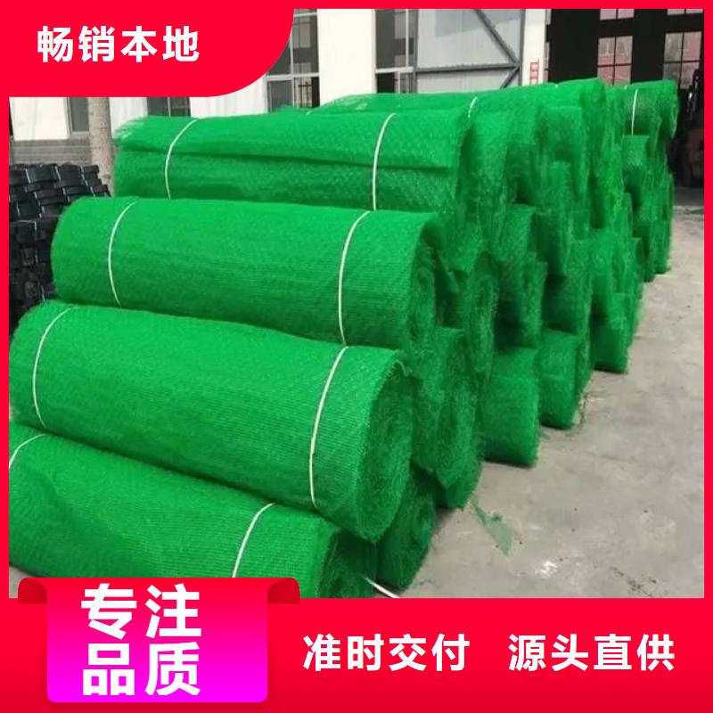 三维土工网植草多少钱一平方可加工设计