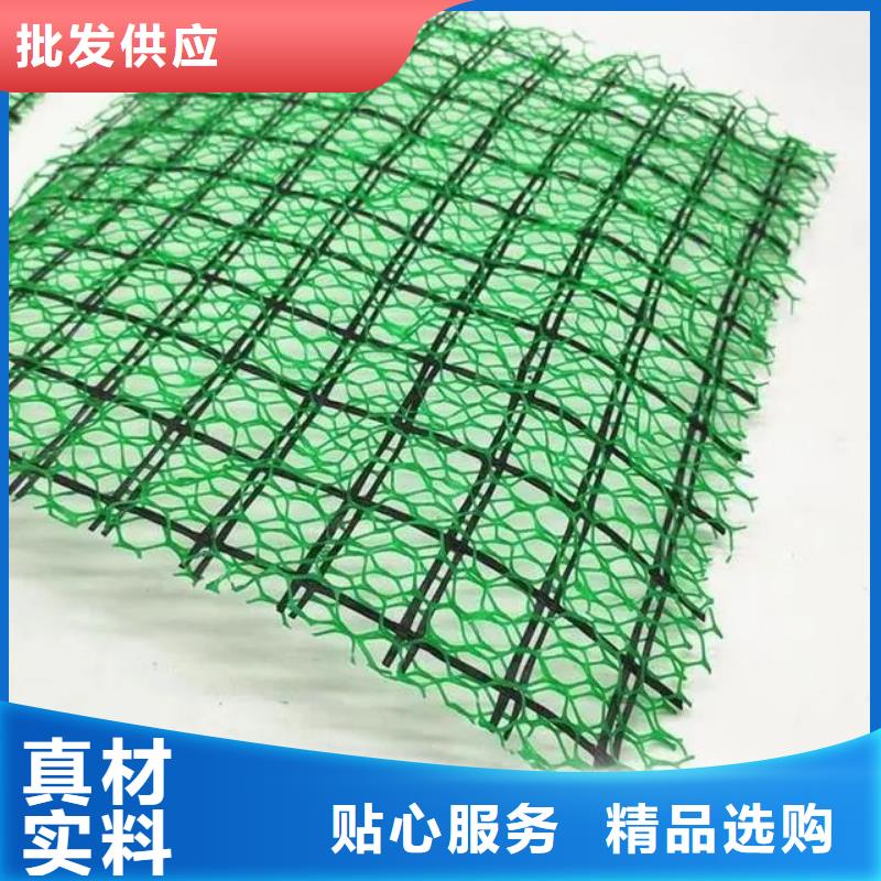 塑料三维土工网垫量大优先发货