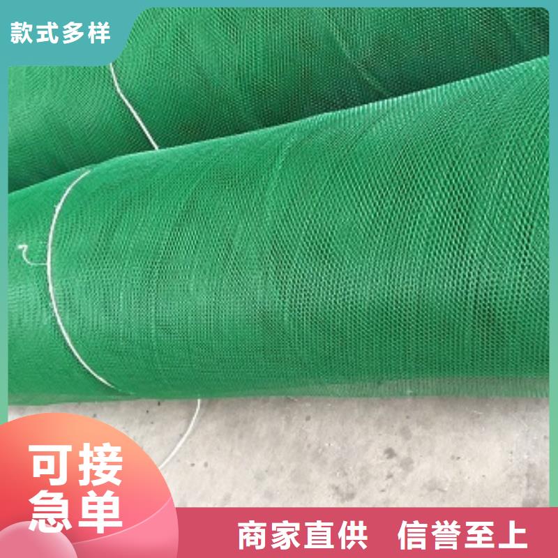 三维土工网植草实力商家