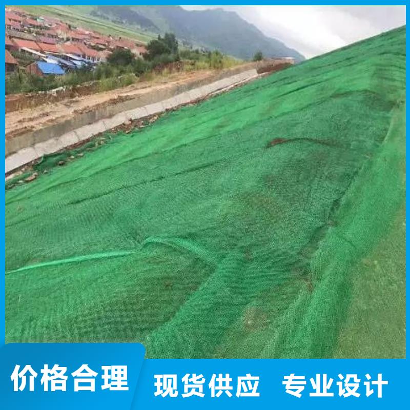 三维土工网植草多少钱一平方厂家供应价格