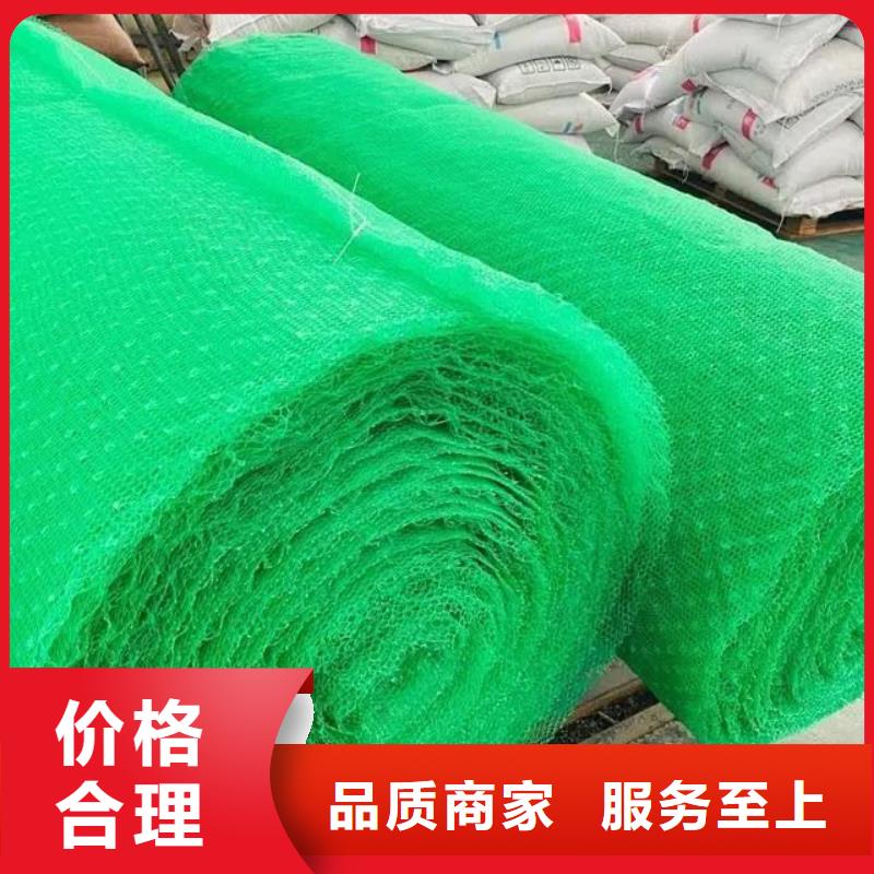 塑料三维土工网垫量大优先发货