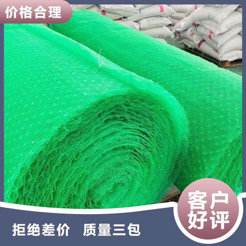 三维土工网植草多少钱一平方厂家供应价格