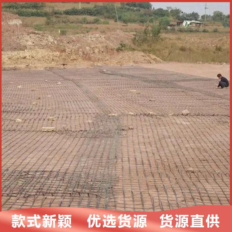 钢塑土工格栅产品介绍电话