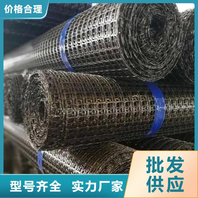 钢塑土工格栅采购厂家