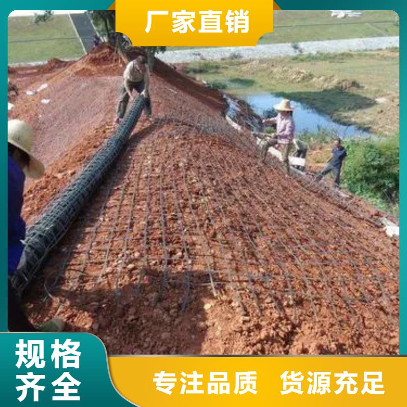 塑料格栅购买电话