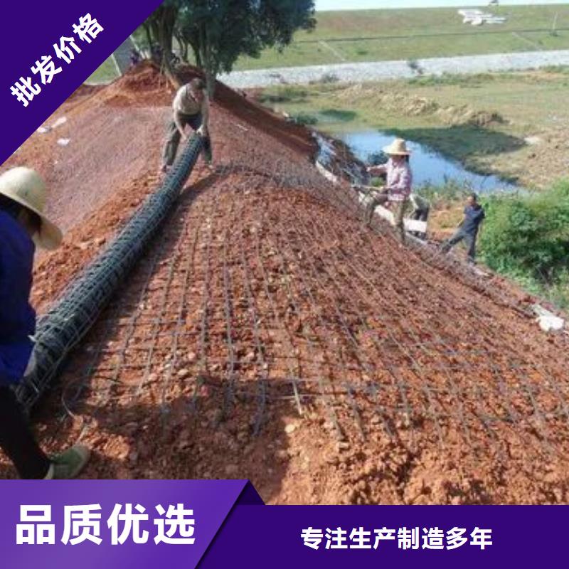 塑料格栅出厂价格厂家