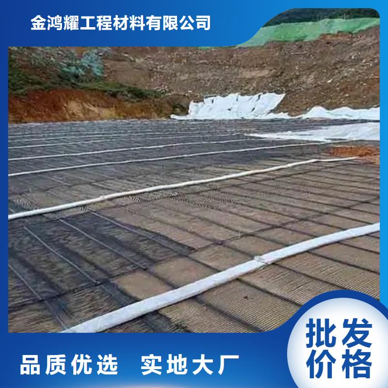玻纤格栅免费咨询厂家
