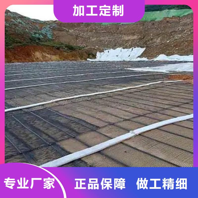 乐东县三维土工格栅批发零售厂家