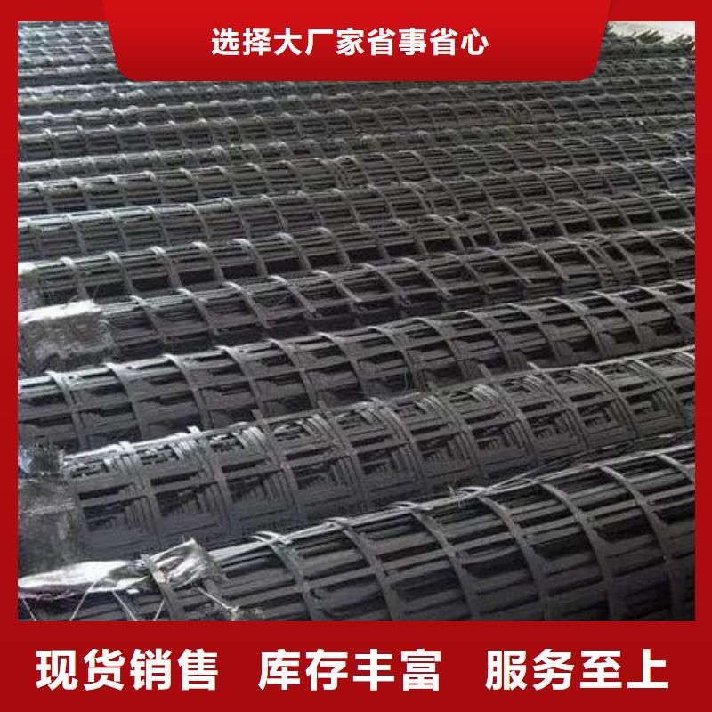 钢塑格栅10年经验厂家