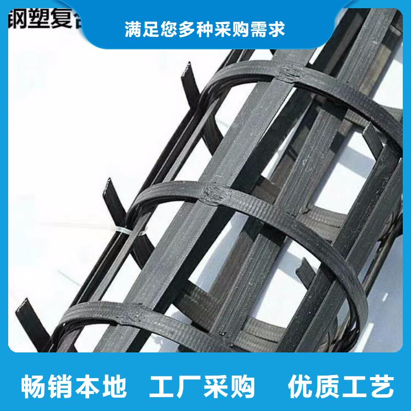 土工格栅团队厂家