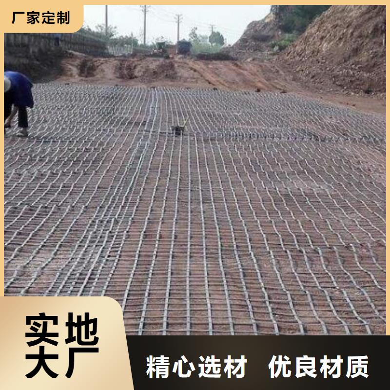 钢塑土工格栅图片厂家