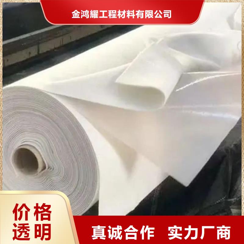 质量靠谱的土工布300g\/m2多少钱厂家