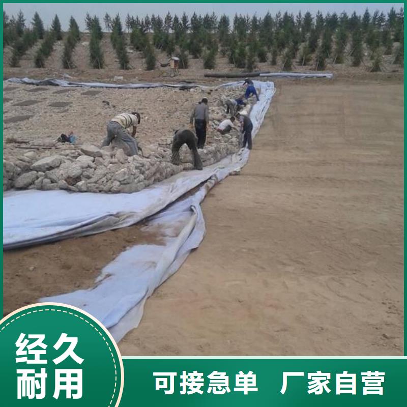 发货及时的透水土工布是什么生产厂家