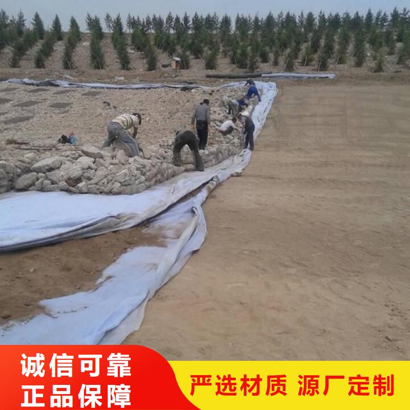 防渗土工布定制-不另行收费