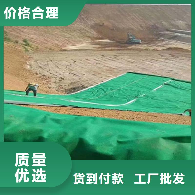 可定制的复合土工布厂家电话本地厂家