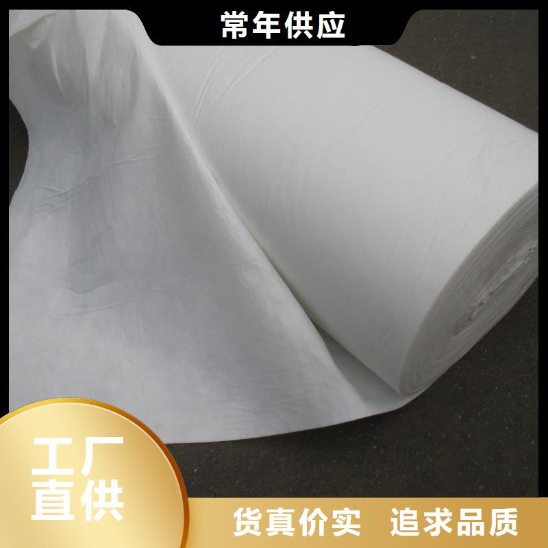 土工布多少钱一平方米甄选厂家