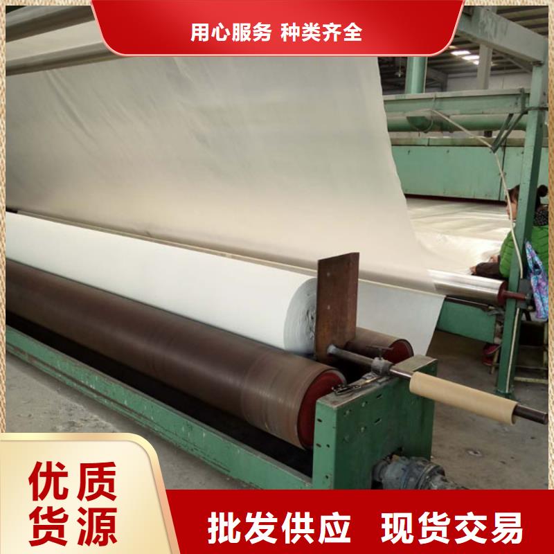 防渗土工布厂家价格专业生产企业