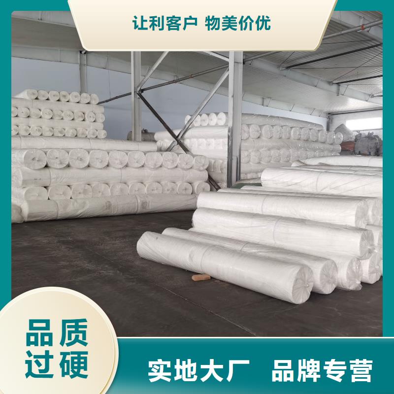 优选：土工布300g\/m2多少钱供货商